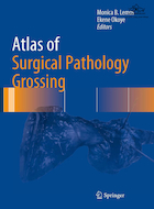 Atlas of Surgical Pathology Grossing  (Atlas of Anatomic Pathology) 1st ed. 2019 Edicion | اطلس آسیب شناسی جراحی در حال رشد   (اطلس آسیب شناسی تشریحی) ویرایش اول. 2019